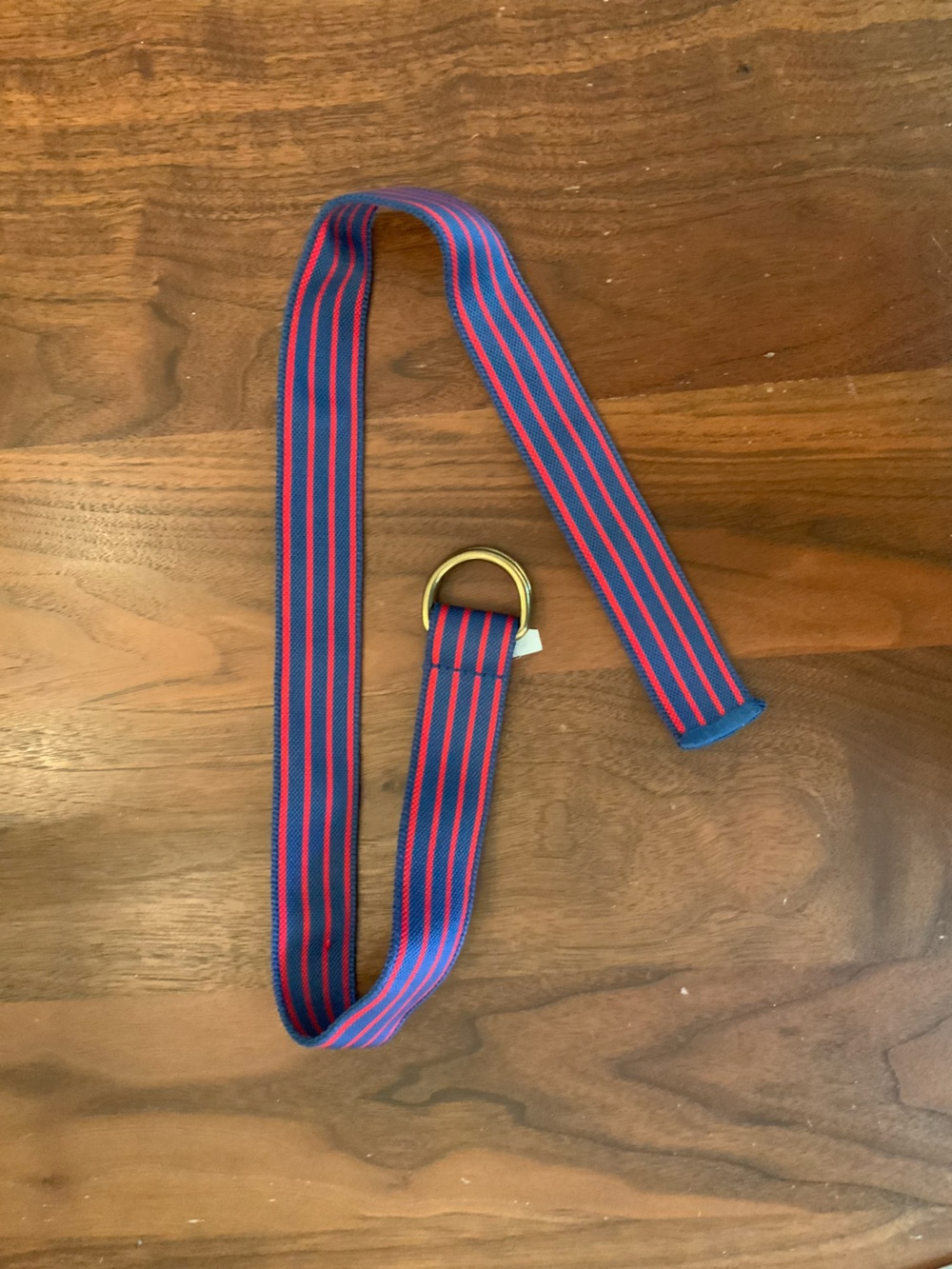 Crewcuts Blue and Red Striped Webbing D-Ring Belt